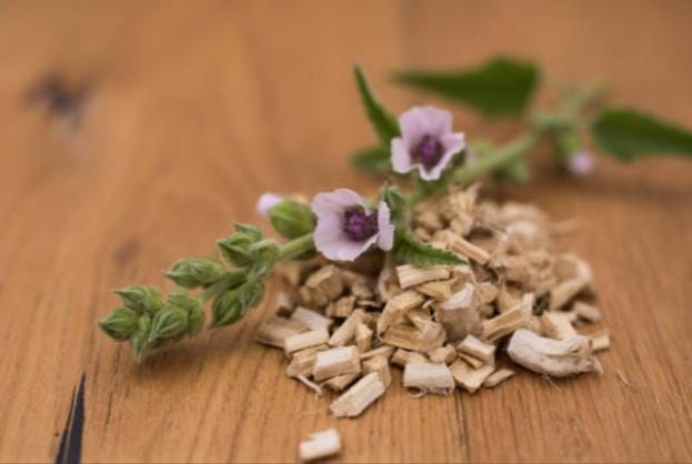 Marshmallow Root Herb Powder 